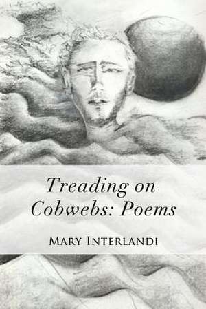 Treading on Cobwebs de Mary Interlandi