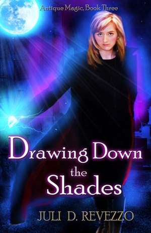 Drawing Down the Shades de Juli D. Revezzo