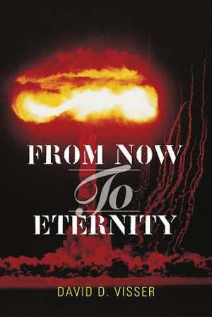 From Now to Eternity de David D. Visser