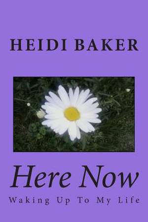 Here Now de Heidi Baker