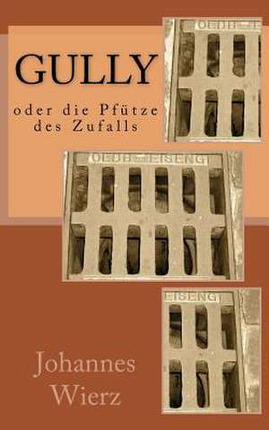 Gully Oder Die Pfuetze Des Zufalls de Johannes Wierz