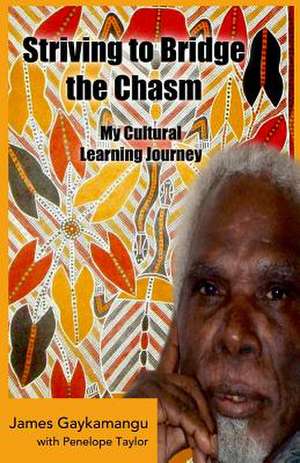 Striving to Bridge the Chasm de MR James Gaykamangu