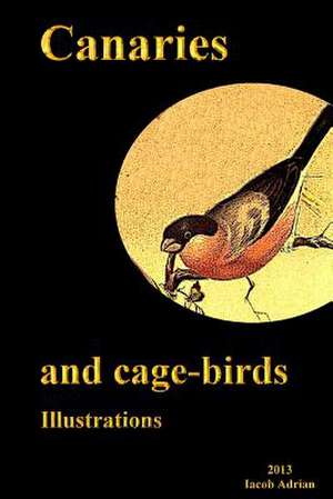 Canaries and Cage-Birds Illustrations de Iacob Adrian