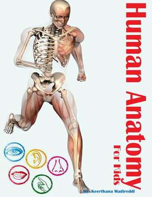 Human Anatomy for Kids de Keerthana K. Madireddi