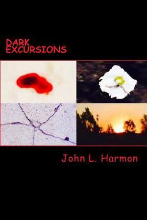 Dark Excursions de John L. Harmon