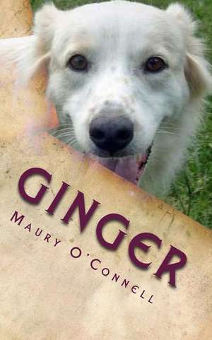 Ginger de Maurice C. O'Connell