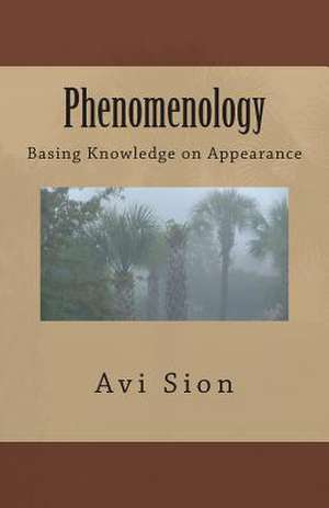 Phenomenology de AVI Sion