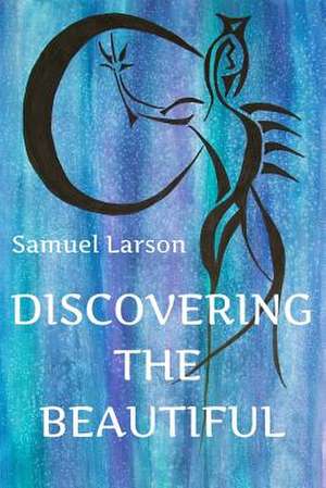 Discovering the Beautiful de Samuel Larson