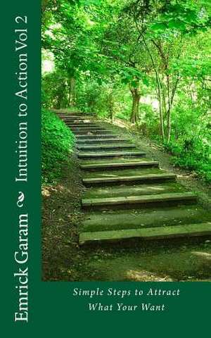 Intuition to Action Vol 2 de MR Emrick Garam