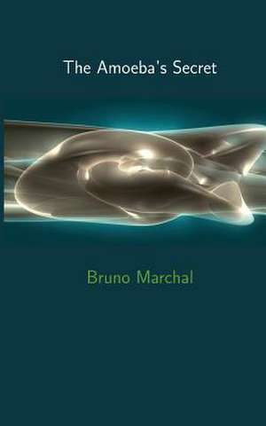 The Amoeba's Secret de Bruno Marchal