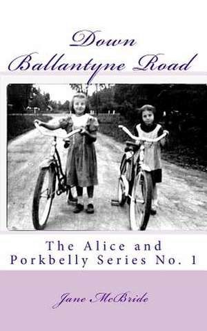 Down Ballantyne Road de Jane McBride