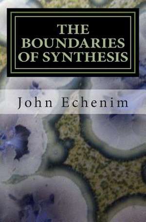 The Boundaries of Synthesis de MR John Jesse Echenim