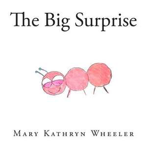 The Big Surprise de Mary Kathryn Wheeler