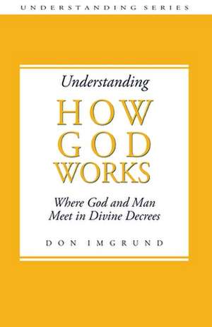 How God Works de Don Imgrund