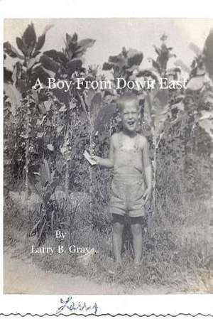 A Boy from Down East de Larry B. Gray