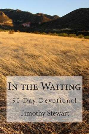 In the Waiting de Timothy D. Stewart