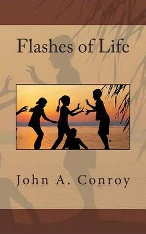 Flashes of Life de John a. Conroy