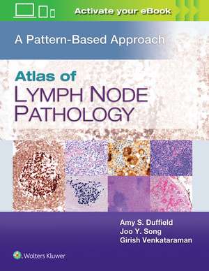 Atlas of Lymph Node Pathology: A Pattern Based Approach de Amy S. Duffield MD