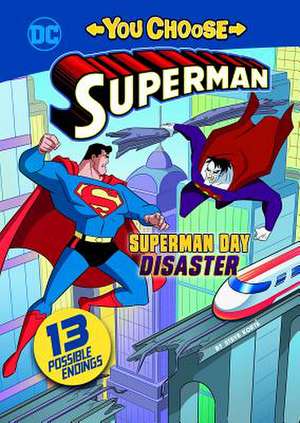 Superman Day Disaster de Steve Korte