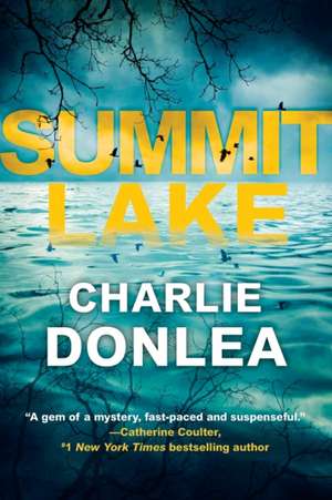 Summit Lake de Charlie Donlea