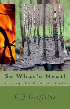 So What's Next! de G. J. Griffiths