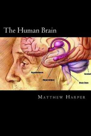 The Human Brain de Matthew Harper