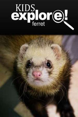 Ferret - Kids Explore de Kids Explore!