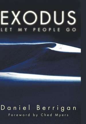 Exodus: U2 in Theological Perspective de Daniel Berrigan