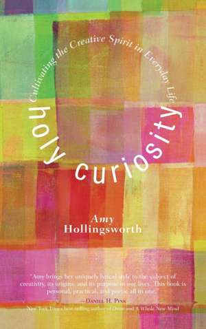 Holy Curiosity de Amy Hollingsworth