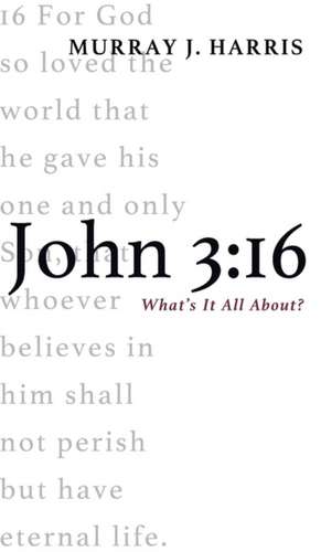 John 3 de Murray J. Harris