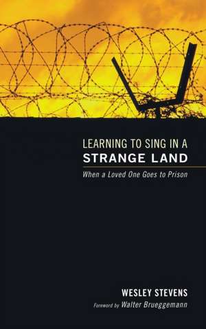 Learning to Sing in a Strange Land de Wesley Stevens