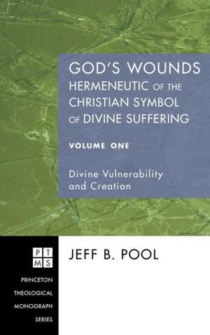 God's Wounds de Jeff B. Pool