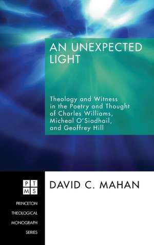 An Unexpected Light de David C. Mahan