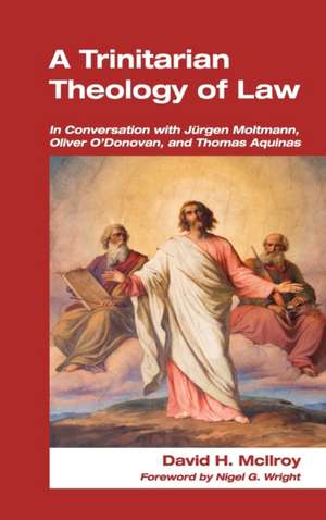 A Trinitarian Theology of Law de David H. McIlroy