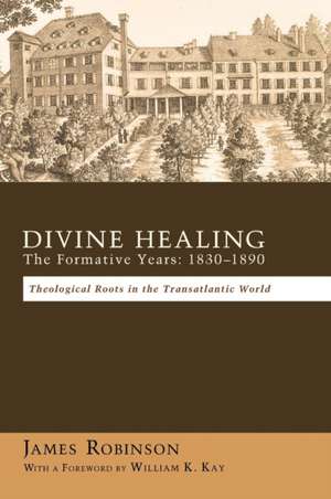 Divine Healing de James Robinson