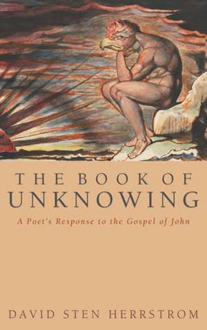 The Book of Unknowing de David S. Herrstrom