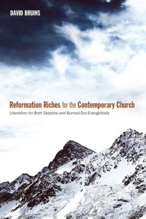 Reformation Riches for the Contemporary Church de David R. Bruins