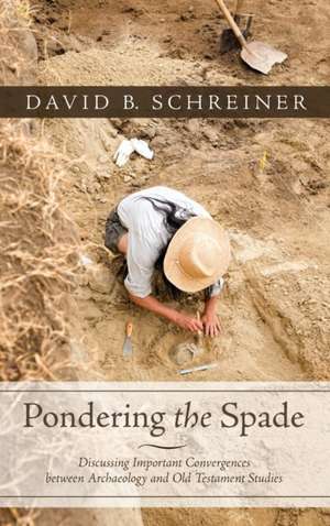 Pondering the Spade de David B. Schreiner