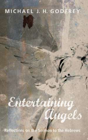 Entertaining Angels de Michael J. H. Godfrey