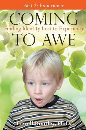 Coming to Awe, Finding Identity Lost to Experience de Ph. D. Lowell Routley