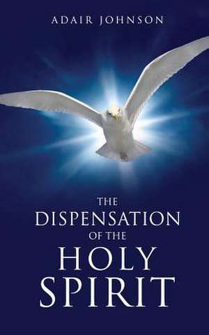 The Dispensation of the Holy Spirit de Adair Johnson