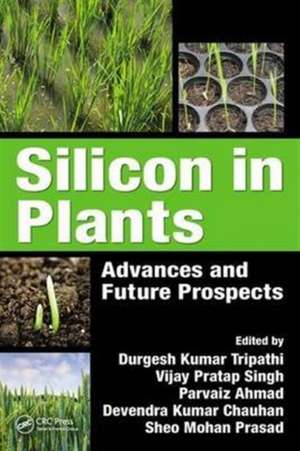 Silicon in Plants: Advances and Future Prospects de Durgesh Kumar Tripathi