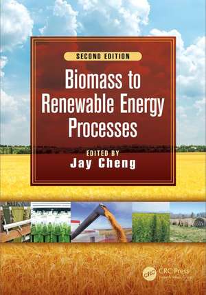 Biomass to Renewable Energy Processes de Jay Cheng