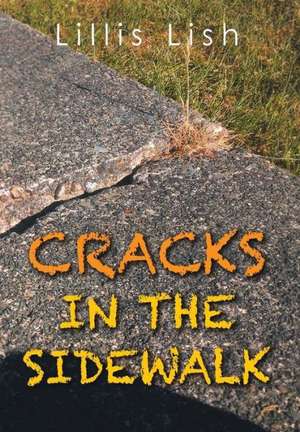 Cracks in the Sidewalk de Lillis Lish