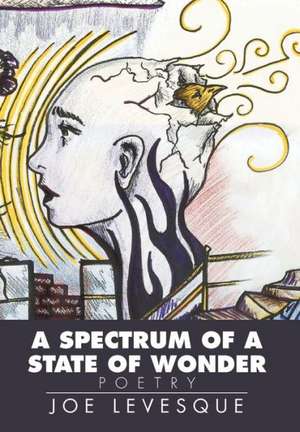 A Spectrum of a State of Wonder de Joe Levesque