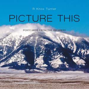 Picture This de R. Knox Turner