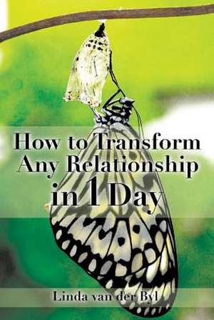 How to Transform Any Relationship in 1 Day de Linda Van Der Byl