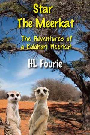 Star the Meerkat de Hl Fourie