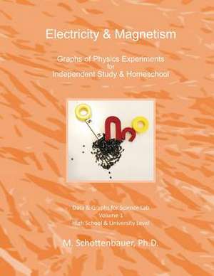 Electricity & Magnetism de M. Schottenbauer