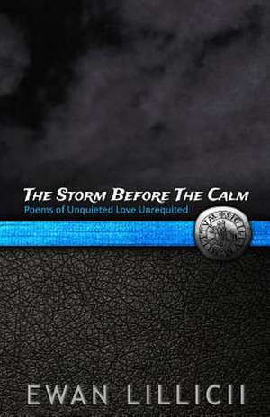 The Storm Before the Calm de Ewan LILLICII